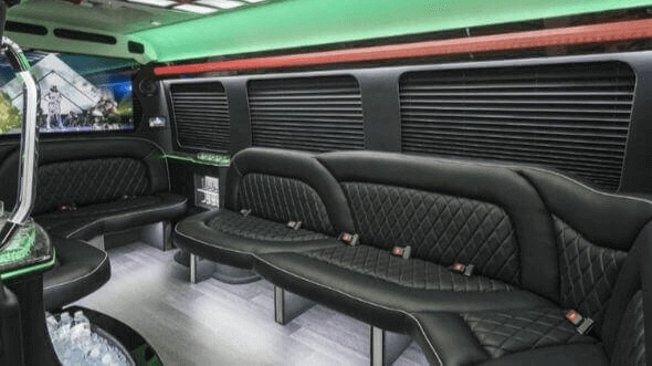norman 14 passenger sprinter limousine interior